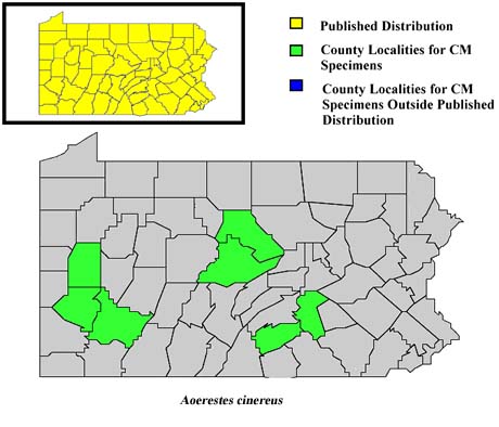 Pennsylvania Counties for Hoary Bat