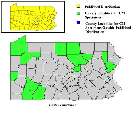 Pennsylvania Counties for Beaver
