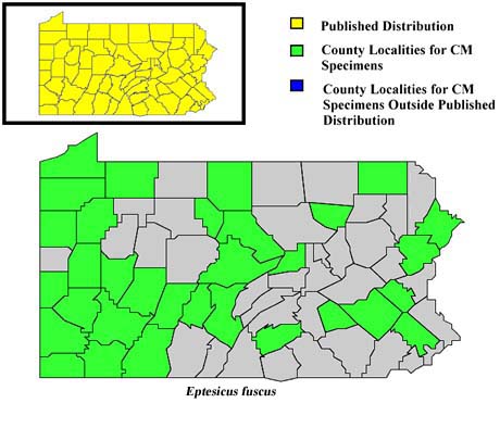 Pennsylvania Counties for Big Brown Bat
