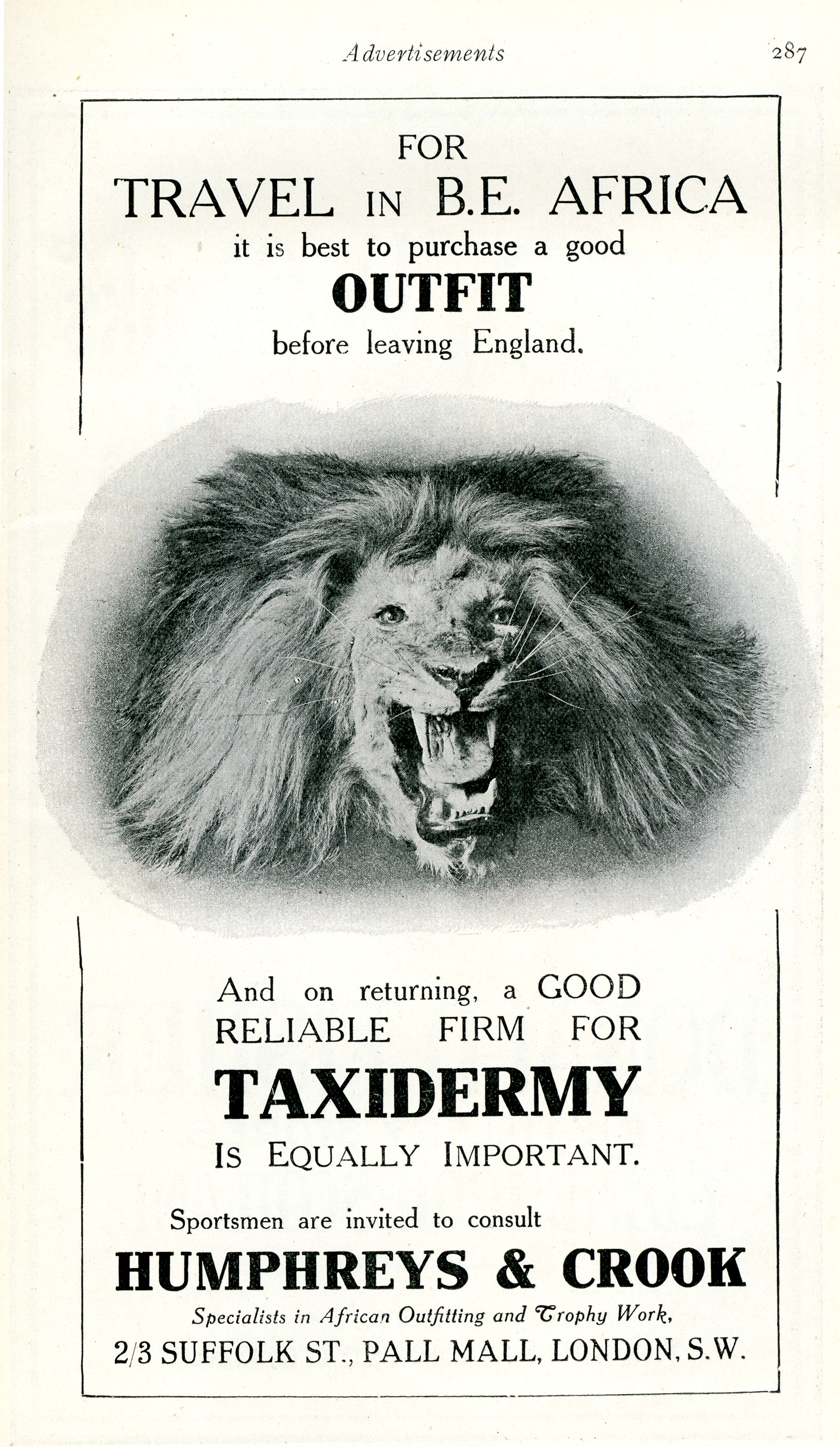 Ad for taxidermy service showing the head of a lion