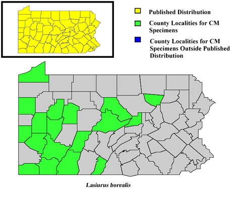 Pennsylvania Counties for Red Bat