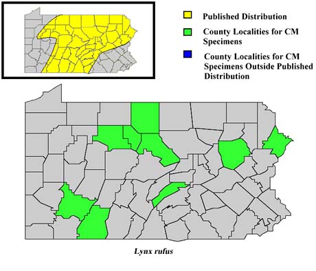 Pennsylvania Counties for Bobcat