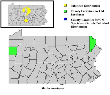 Pennsylvania Counties for Pine Marten