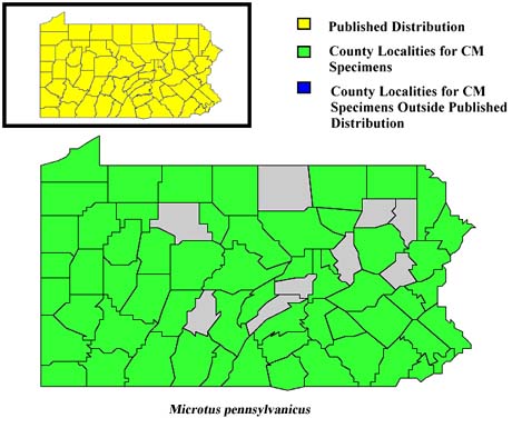 Pennsylvania Counties for Meadow Vole