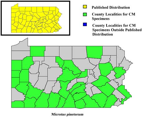 Pennsylvania Counties for Pine Vole