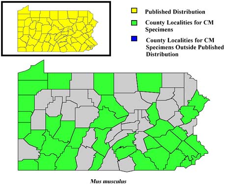 Pennsylvania Counties for House Mouse