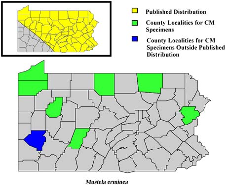 Pennsylvania Counties for Ermine