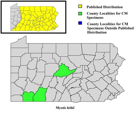 Pennsylvania Counties for Small-footed Bat