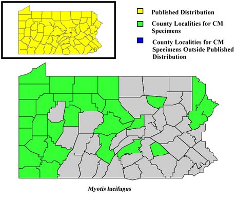 Pennsylvania Counties for Little Brown Myotis