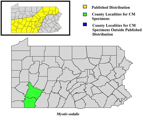 Pennsylvania Counties for Indiana Myotis