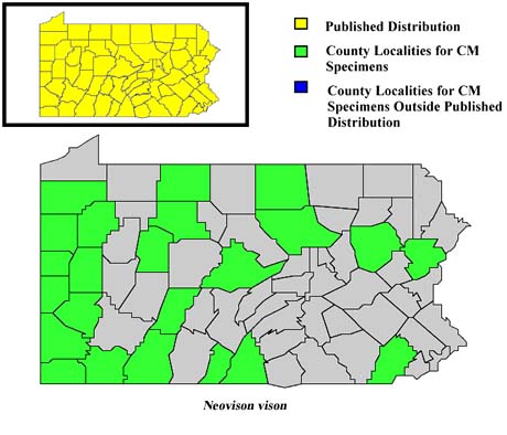 Pennsylvania Counties for Mink