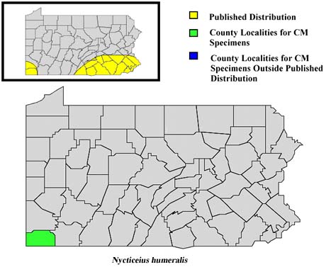 Pennsylvania Counties for Evening Bat