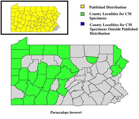 Pennsylvania Counties for Hairy-tailed Mole