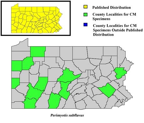 Pennsylvania Counties for Eastern Pipistrelle