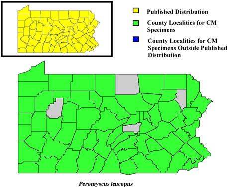 Pennsylvania Counties for White-footed Mouse