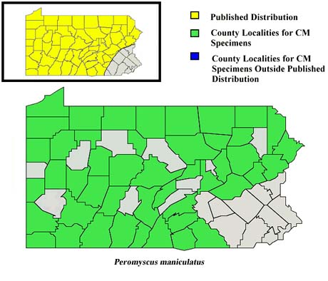 Pennsylvania Counties for Peromyscus maniculatus