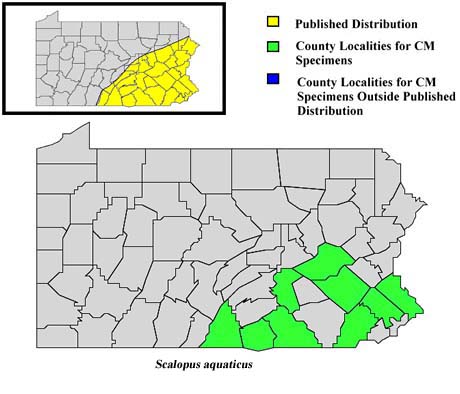 Pennsylvania Counties for Eastern Mole