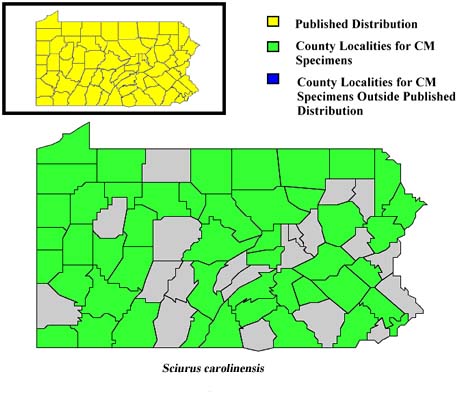 Pennsylvania Counties for Gray Squirrel