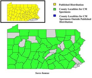 Pennsylvania Counties for Smoky Shrew