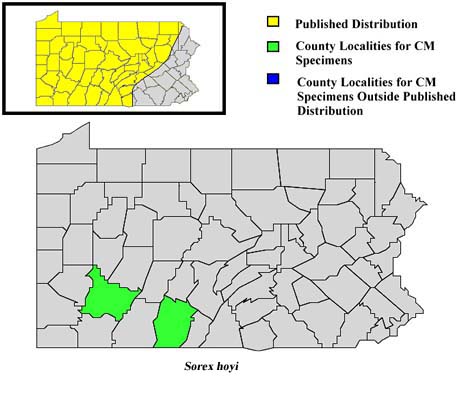 Pennsylvania Counties for Pygmy Shrew