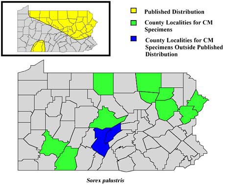 Pennsylvania Counties for Water Shrew