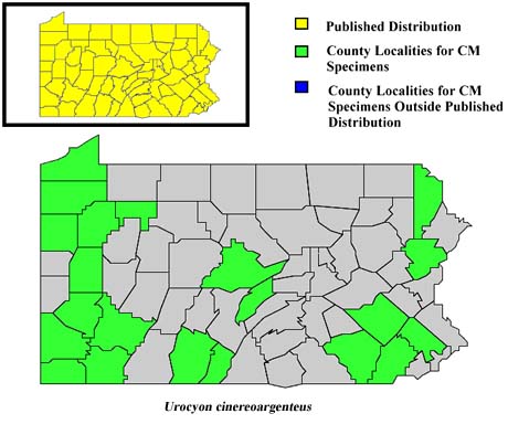Pennsylvania Counties for Gray Fox