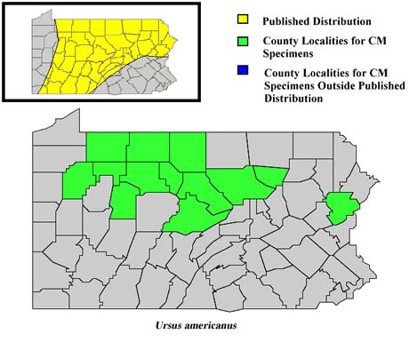 Pennsylvania Counties for Black Bear