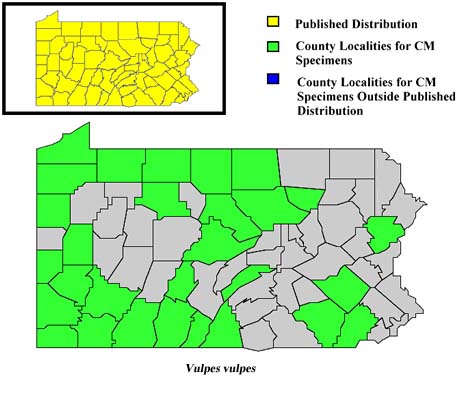 Pennsylvania Counties for Red Fox