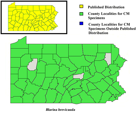 Pennsylvania Counties for Short-tailed Shrew