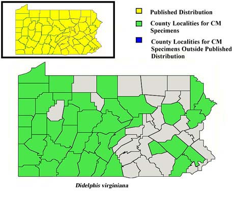 Pennsylvania Counties for Opossum